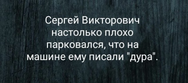 Весёлый полтишок 26.11
