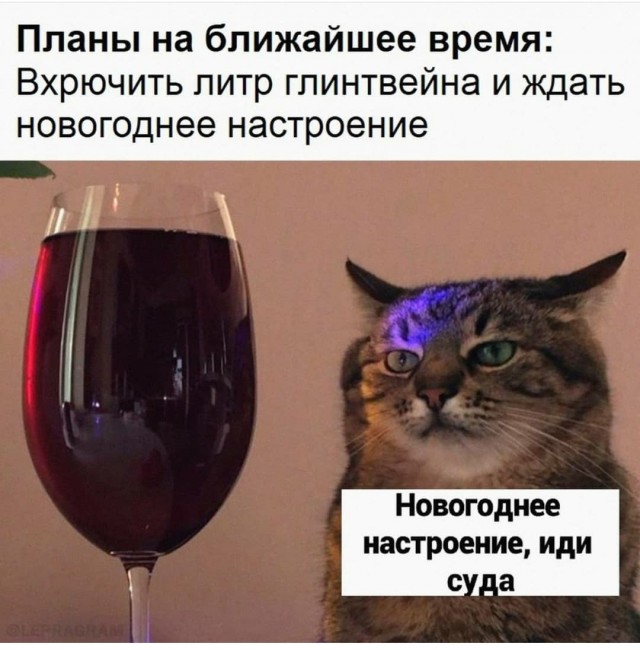 Забавные комментарии из социальных сетей (06.12.21)