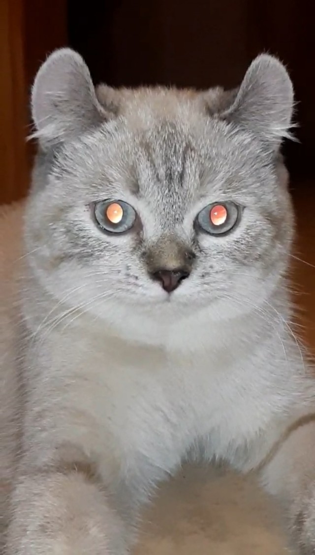 Котовторниковское