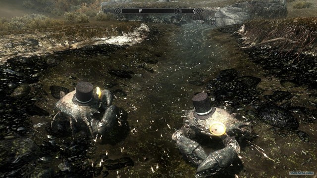 The Elder Scrolls V Skyrim