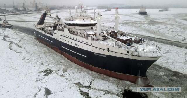 Первый супертраулер отправился по Северному морскому пути на промысел в дальневосточные моря
