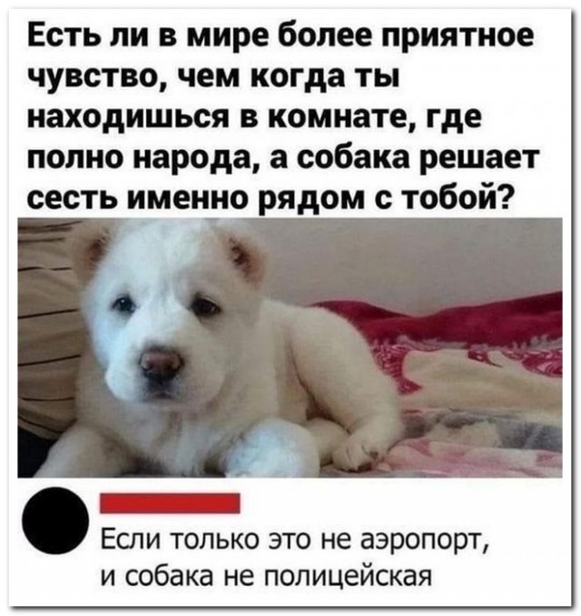 Забавные комментарии из социальных сетей (03.10.22)