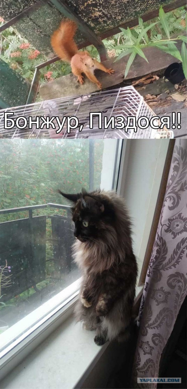 6 кг доброты и независимости