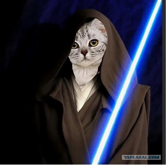 Люк, я твой Котец