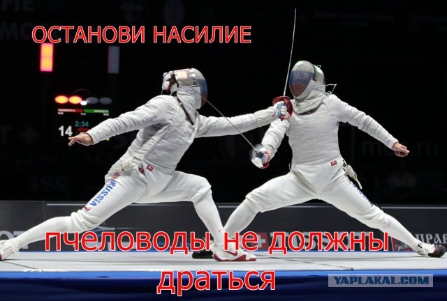 Честь имею