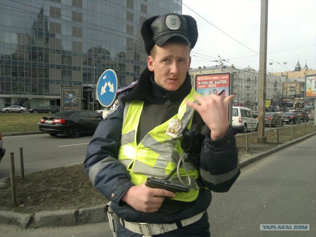 Проклятый куст снова сорвал наступление.