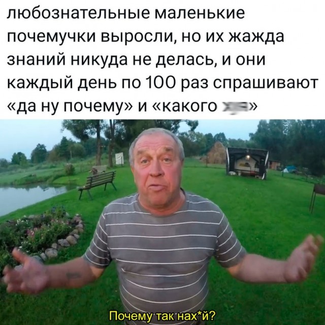 Весёлый полтишок 08.09.23