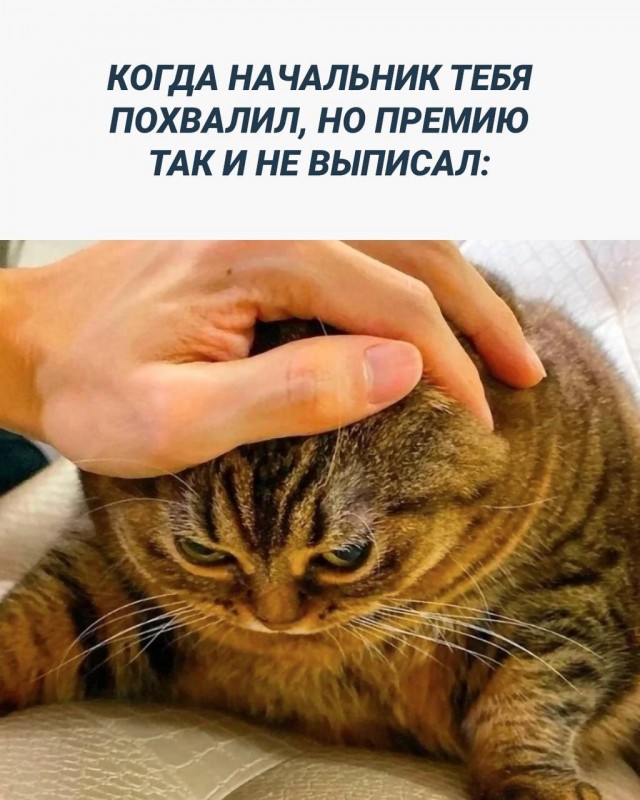 Так себе картинки 24.10.23