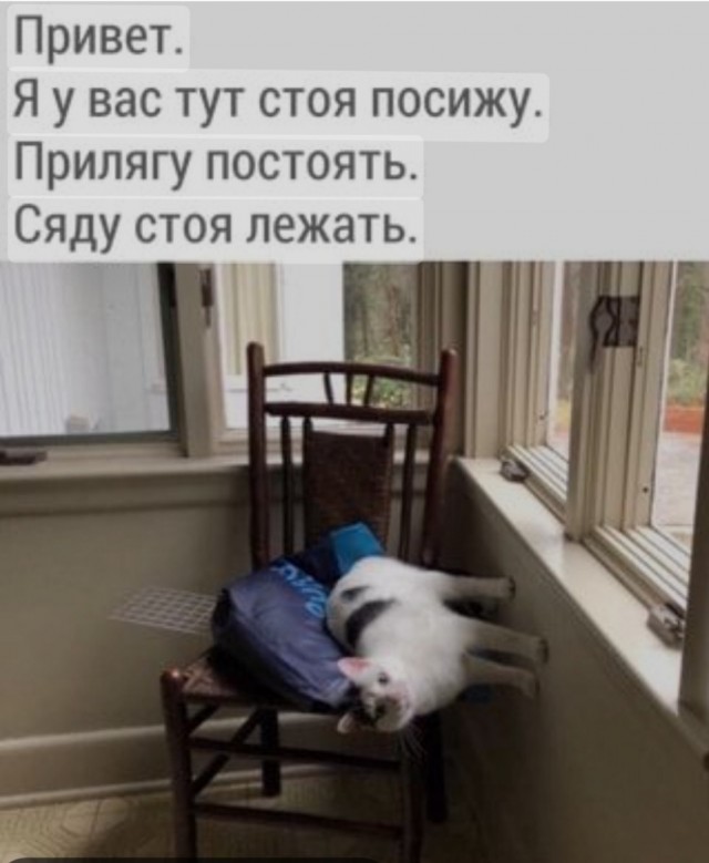 Так сидит или стоит?