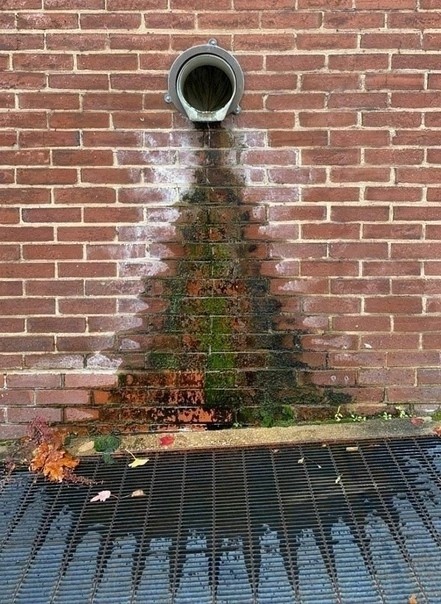 Картинки от Scodero