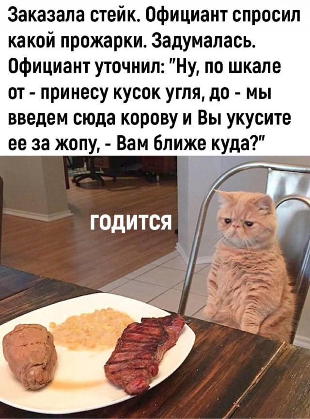 Весёлый полтишок 11.01.23