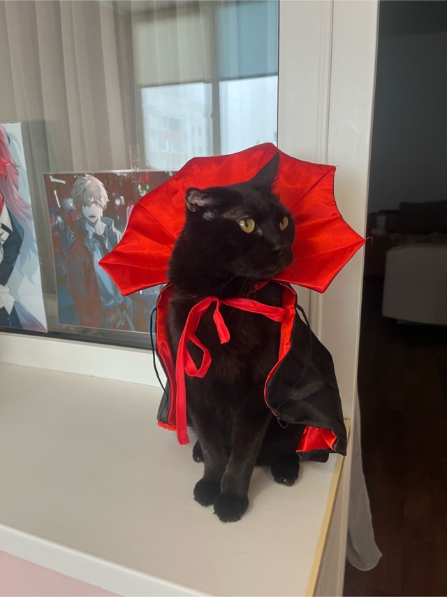 Граф Жракула