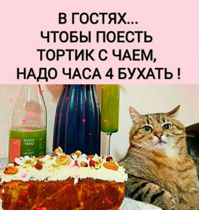 Картинки из интернетов