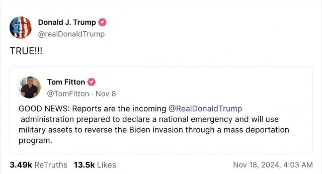 Трамп подтвердил планы массовых депортаций нелегальных мигрантов с привлечением армии в США