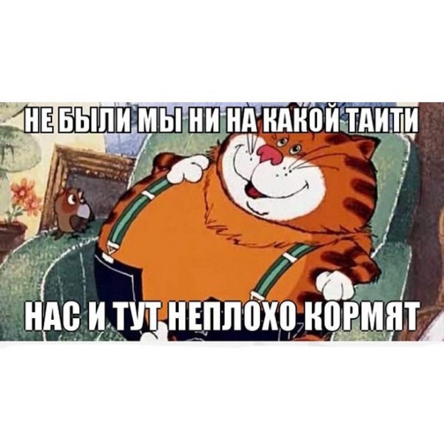 КотоВторник: Это ты виноват!