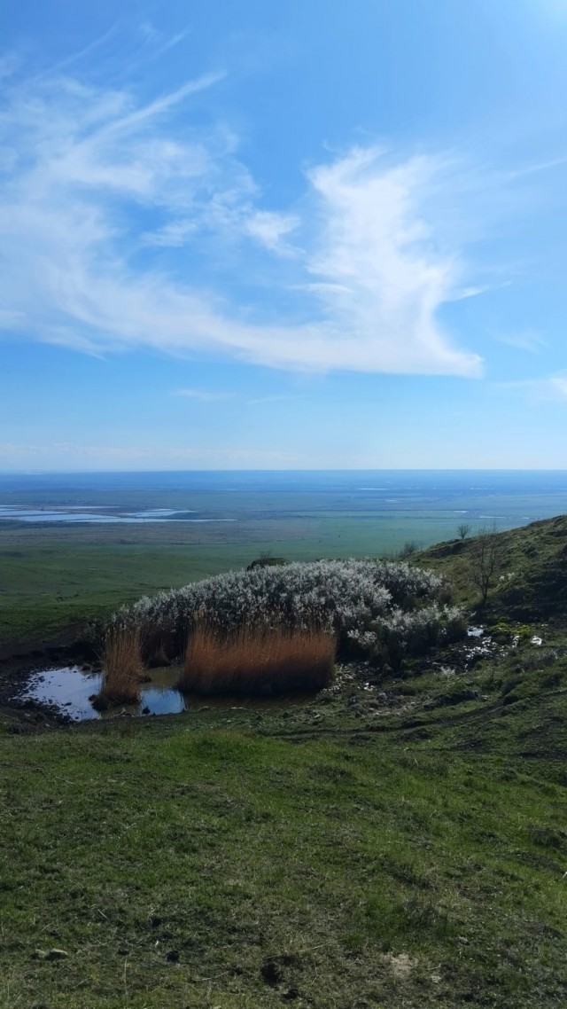 Красота в глазах смотрящего
