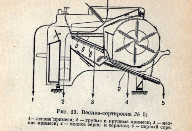 Сбор черники