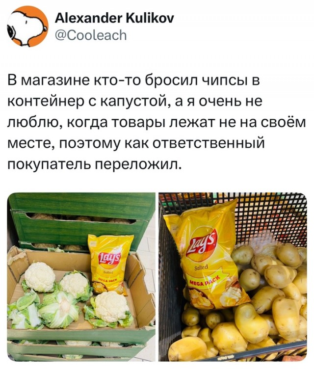 Весёлый полтишок 16.04 25.