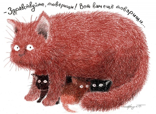 Прикольные и просто красивые картинки 30.05.2025