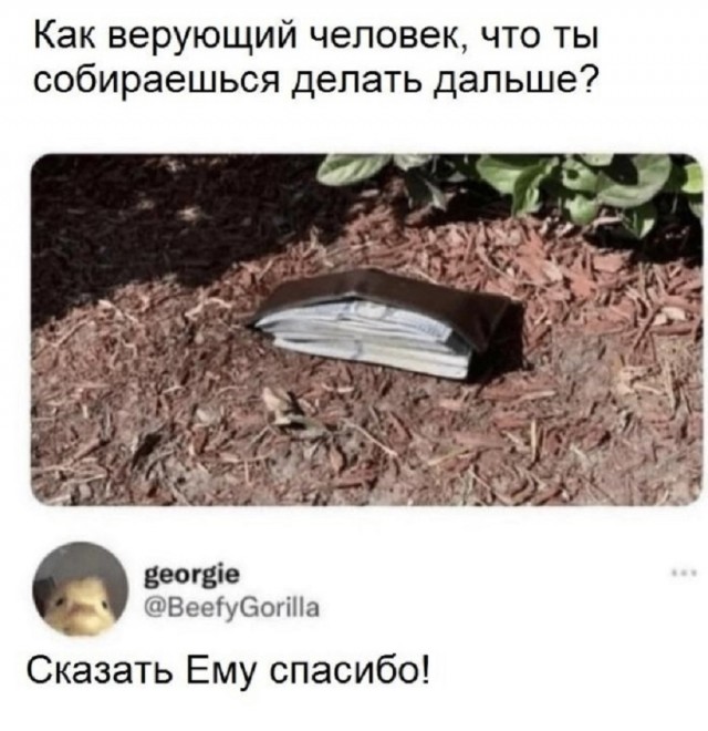 Так себе картинки 12.06.25
