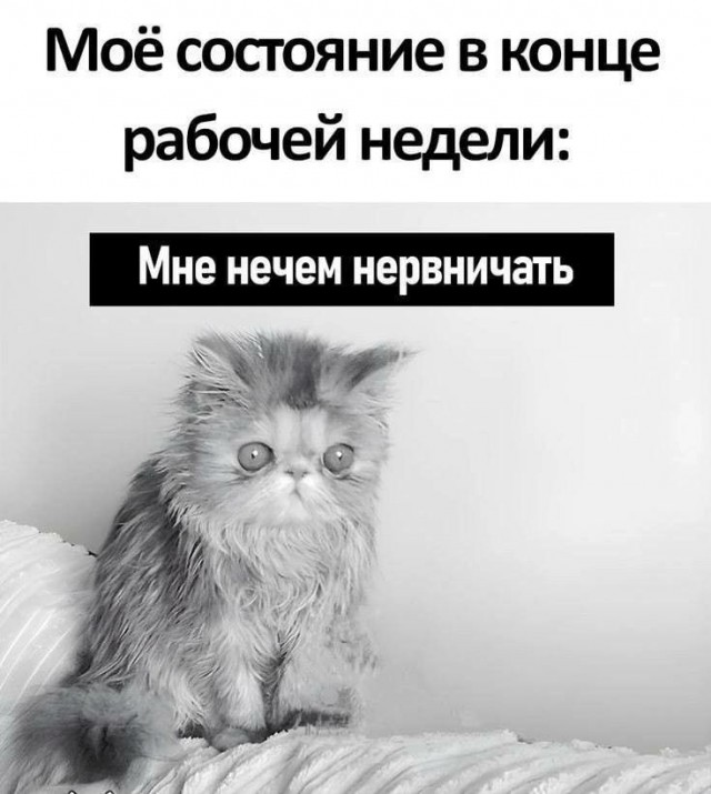 Ещё одна рабочая неделя прошла