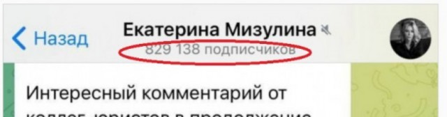 Россиян смогут оштрафовать за поиск песни «Я русский» Шамана — материал с таким названием есть в списке экстремистских, заявила Мизулина