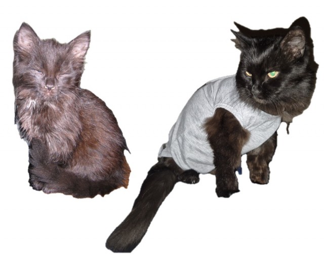 Минус один бродяга