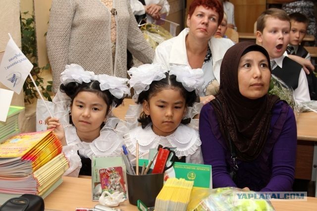 В ГД готовят законопроект о запрете мигрантам бесплатно учиться в школах