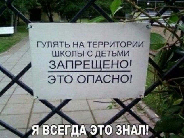 Так себе картинки 24.08.25