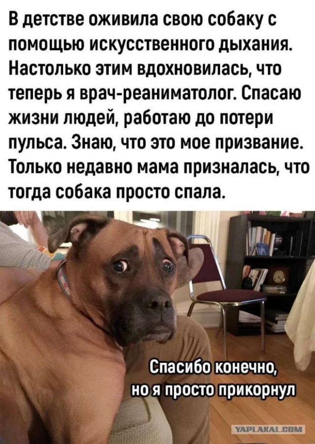Забавные и не очень скромные картинки - 18
