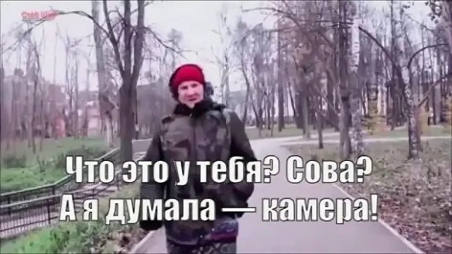 Сову повязали!