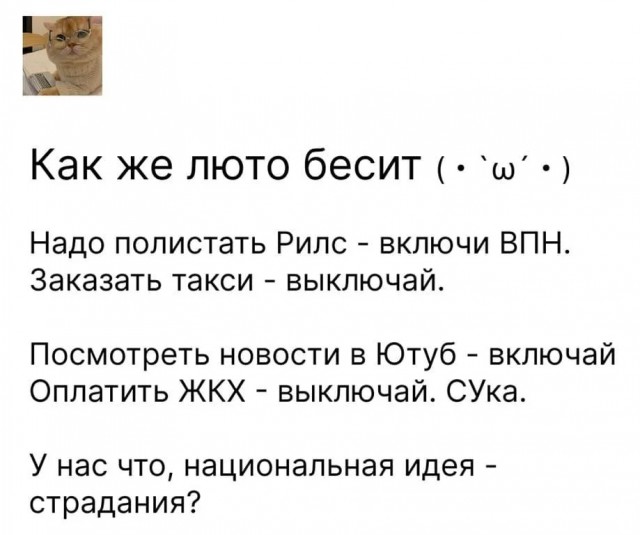Картиночки, баянчики 11 декабря