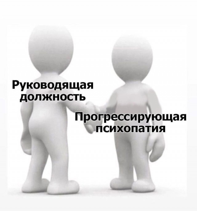 Мой кот - дизайнер интерьеров.