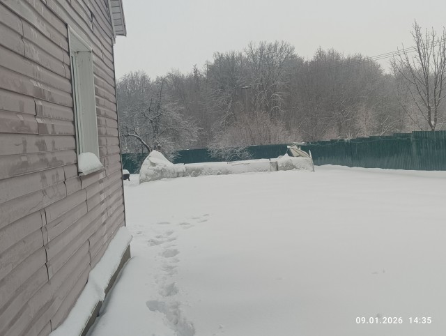 Френсис падла