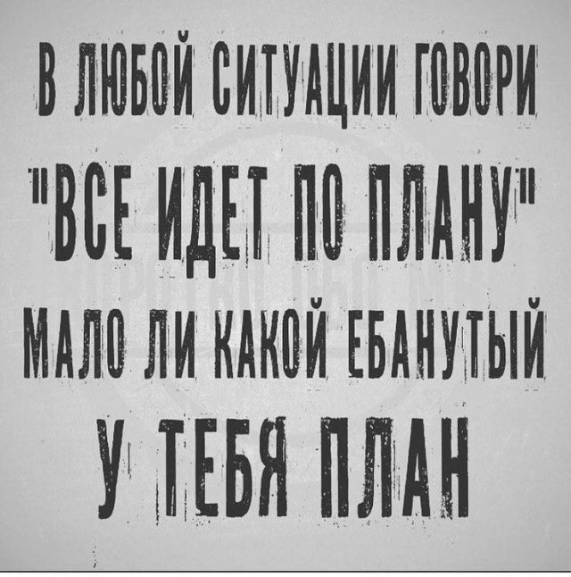 Веселых картинок вам в ленту