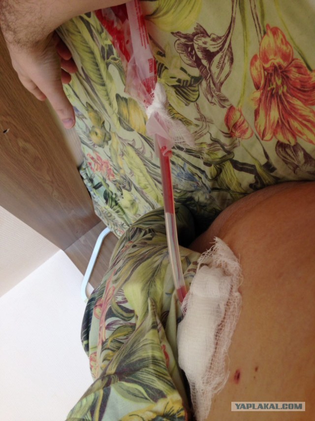 Рождественская сказка