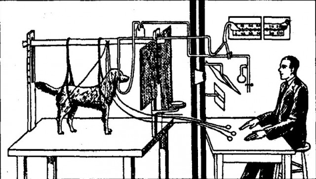 Механические игрушки