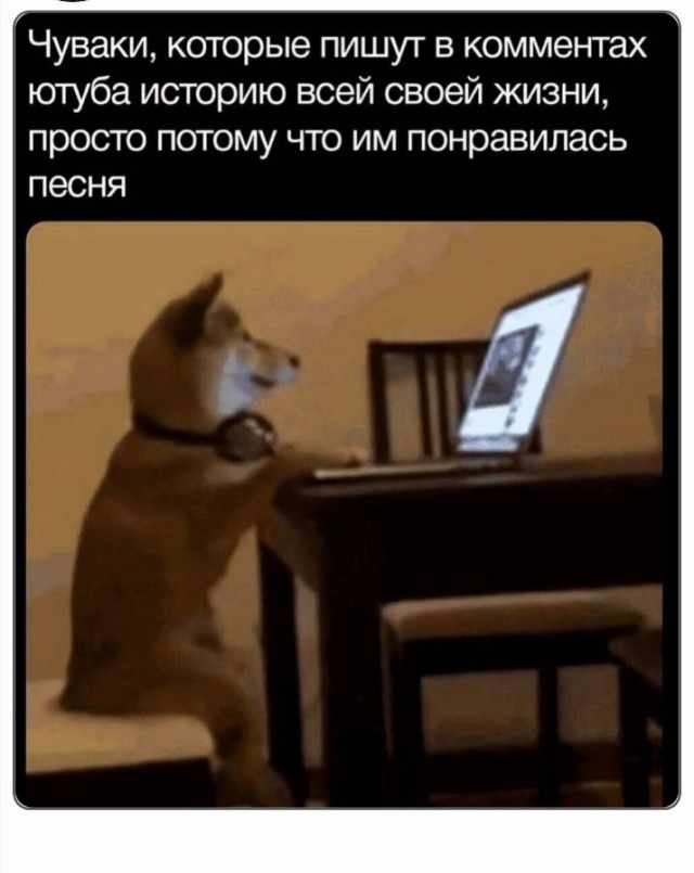 Среды картинки