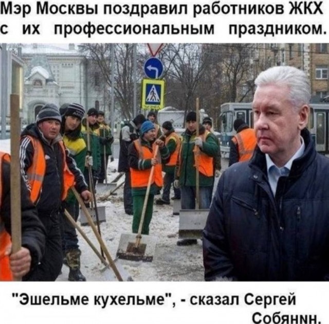 Веселые картинки в понедельник (25.05)