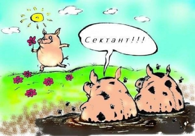 Так себе картинки 30.06.26