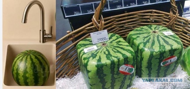 Картинки на среду