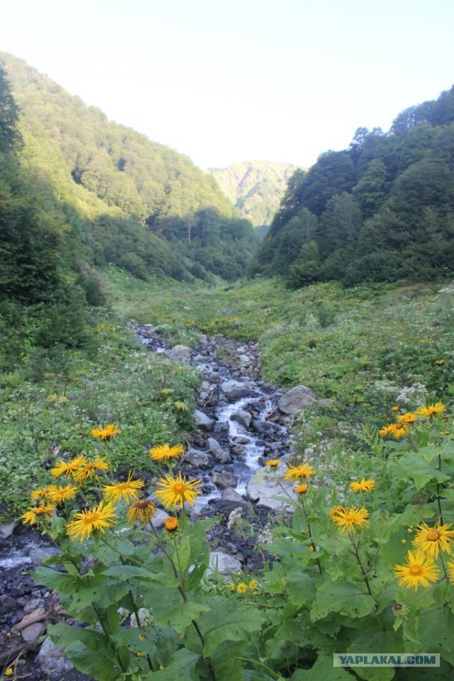 В горах. Абхазия.