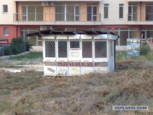 Маразмы года 2013