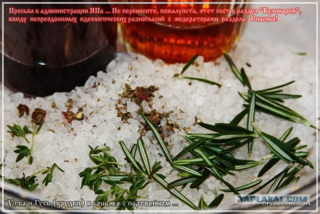 Утка с Гусем в коньяке ... с портвейном