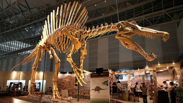 Слава Богу, они вымерли! 25 ужасных тварей