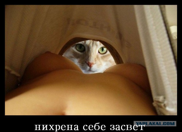 Засветы девушек