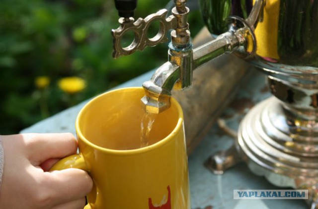 Во нарыл! Что теперь делать?