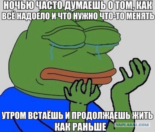 Веселости которые встретились сегодня