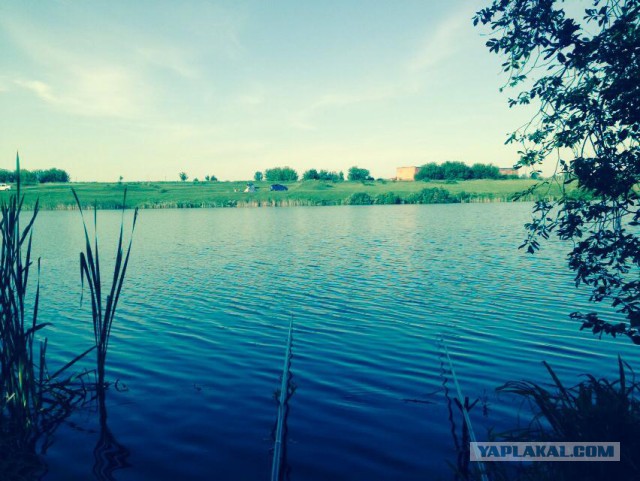 Кто водится в Москве-реке