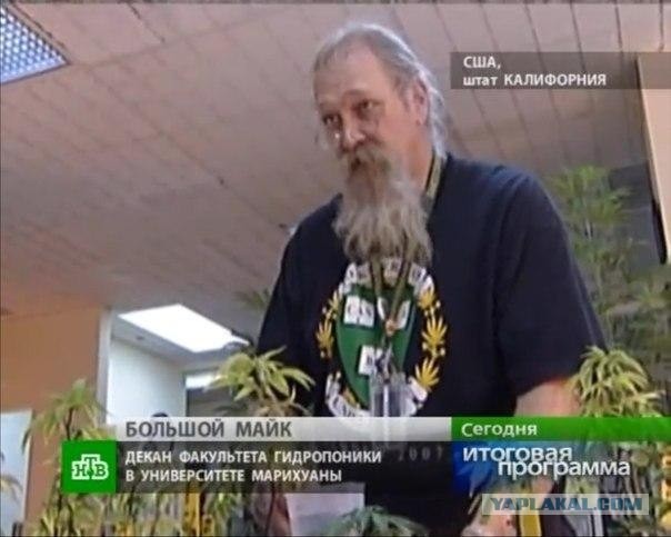 Интересно, а заочное у них есть?